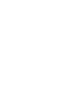 Special Home Logo
